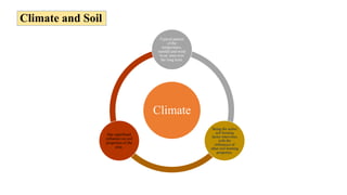 Climate Formation soils developed under different climatic conditions.pptx