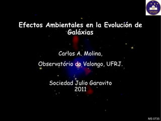 Efectos Ambientales en la Evolución de
              Galáxias


            Carlos A. Molina,
     Observatório do Valongo, UFRJ.


         Sociedad Julio Garavito
                  2011




                                         MS 0735
 