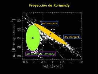 Proyección de Kormendy




              wet-mergers



                    E
    dE                      dry-mergers




gas accretion + stripping
 