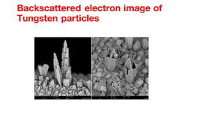 Advanced Surface Analytical Techniques: SEM, STM, and TEM Principles ...