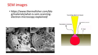 Advanced Surface Analytical Techniques: SEM, STM, and TEM Principles ...