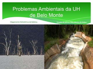 Problemas Ambientais da UH
de Belo Monte
Alagamento Hidrelétrica de Balbina. Escada de peixes Hidrelétrica de Itaipu.
 