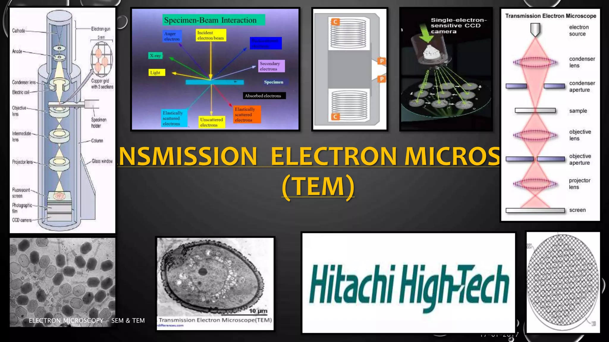 TRANSMISSION ELECTRON MICROSCOPE
(TEM)
17-01-2017
ELECTRON MICROSCOPY - SEM & TEM
15
 