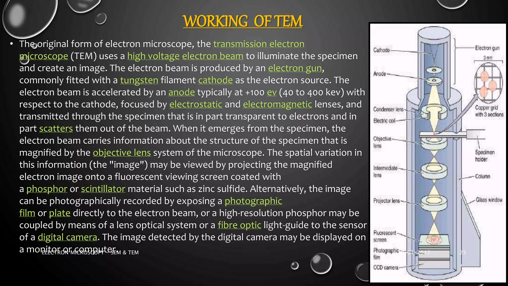 WORKING OF TEM
• The original form of electron microscope, the transmission electron
microscope (TEM) uses a high voltage electron beam to illuminate the specimen
and create an image. The electron beam is produced by an electron gun,
commonly fitted with a tungsten filament cathode as the electron source. The
electron beam is accelerated by an anode typically at +100 ev (40 to 400 kev) with
respect to the cathode, focused by electrostatic and electromagnetic lenses, and
transmitted through the specimen that is in part transparent to electrons and in
part scatters them out of the beam. When it emerges from the specimen, the
electron beam carries information about the structure of the specimen that is
magnified by the objective lens system of the microscope. The spatial variation in
this information (the "image") may be viewed by projecting the magnified
electron image onto a fluorescent viewing screen coated with
a phosphor or scintillator material such as zinc sulfide. Alternatively, the image
can be photographically recorded by exposing a photographic
film or plate directly to the electron beam, or a high-resolution phosphor may be
coupled by means of a lens optical system or a fibre optic light-guide to the sensor
of a digital camera. The image detected by the digital camera may be displayed on
a monitor or computer. 17-01-2017ELECTRON MICROSCOPY - SEM & TEM 23
 