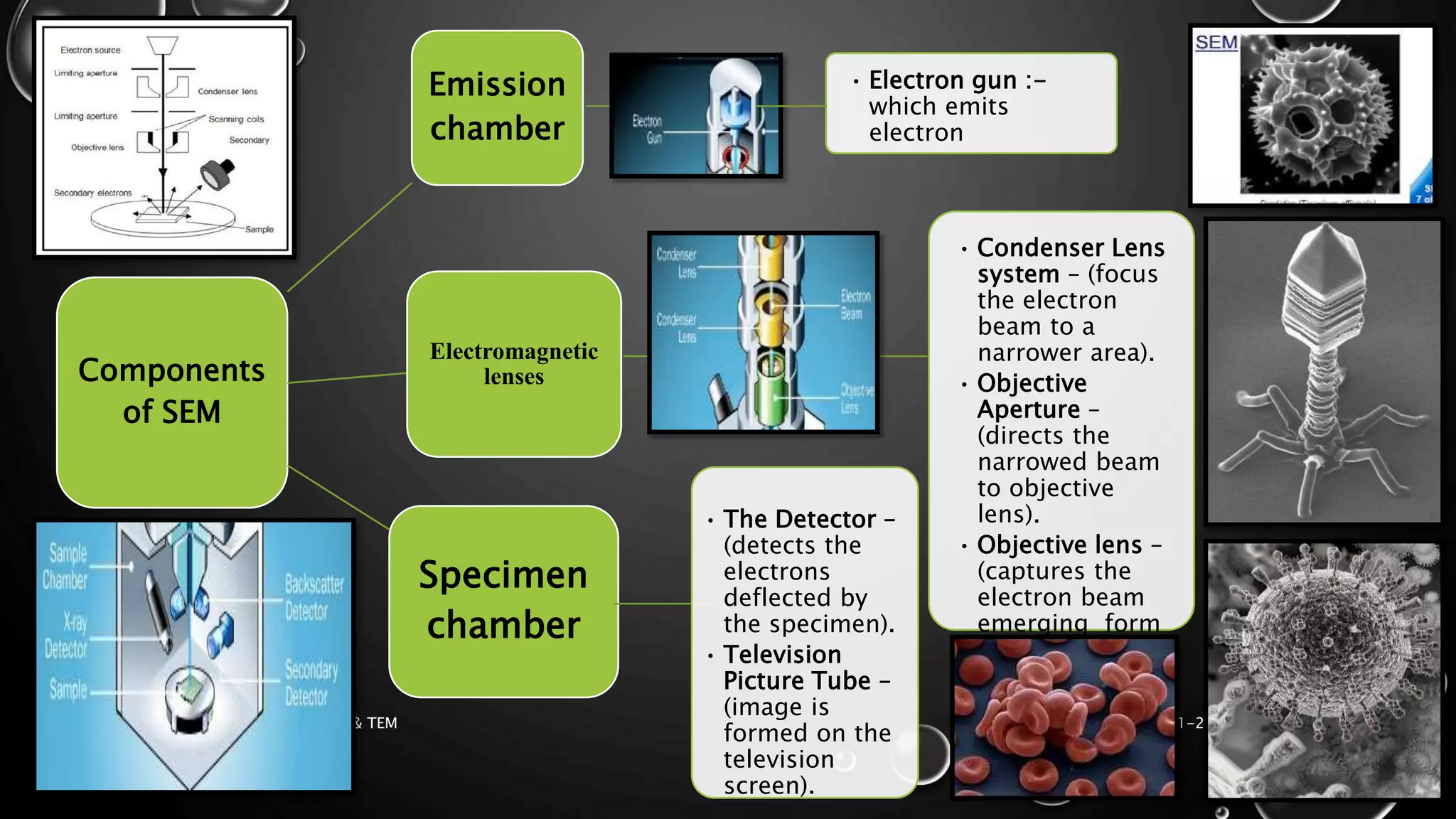 Components
of SEM
Emission
chamber
Electromagnetic
lenses
Specimen
chamber
• Electron gun :-
which emits
electron
• Condenser Lens
system – (focus
the electron
beam to a
narrower area).
• Objective
Aperture –
(directs the
narrowed beam
to objective
lens).
• Objective lens –
(captures the
electron beam
emerging form
the object).
17-01-2017ELECTRON MICROSCOPY - SEM & TEM 8
• The Detector –
(detects the
electrons
deflected by
the specimen).
• Television
Picture Tube –
(image is
formed on the
television
screen).
 