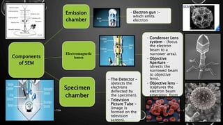 Components
of SEM
Emission
chamber
Electromagnetic
lenses
Specimen
chamber
• Electron gun :-
which emits
electron
• Condenser Lens
system – (focus
the electron
beam to a
narrower area).
• Objective
Aperture –
(directs the
narrowed beam
to objective
lens).
• Objective lens –
(captures the
electron beam
emerging form
the object).
17-01-2017ELECTRON MICROSCOPY - SEM & TEM 8
• The Detector –
(detects the
electrons
deflected by
the specimen).
• Television
Picture Tube –
(image is
formed on the
television
screen).
 