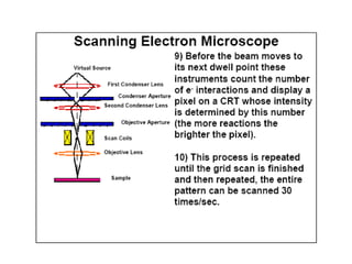 Scm Tem SEM and TEM | PPT
