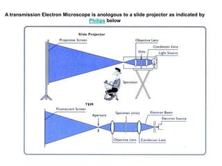 SEM and TEM | PPT
