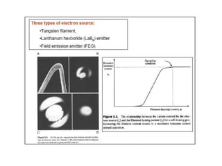 SEM and TEM | PPT
