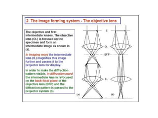 SEM and TEM | PPT