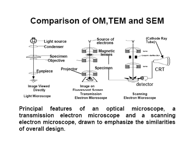 SEM and TEM