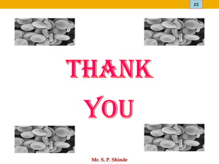 25
Mr. S. P. Shinde
 