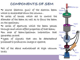 Sem Instrument Parts SEM,TEM & AFM | PDF