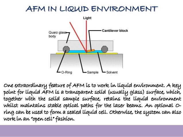 sem tem afm how tem works