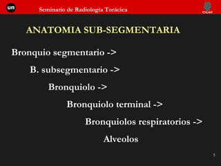 ANATOMIA SUB-SEGMENTARIA Bronquio segmentario ->  B. subsegmentario ->  Bronquiolo ->  Bronquiolo terminal -> Bronquiolos respiratorios ->  Alveolos 