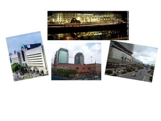 A MAIOR QUANTIDADE DE CAVALOS  PURO SANGUE ÁRABES NAS AMÉRICAS   São Paulo tem... 