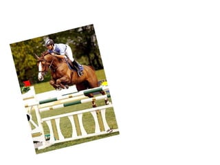 O MAIOR CONSUMIDOR DE YATCH’S DE LONGO CURSO  FERRETTI – VIAREGGIO - LUCCA São Paulo tem... 