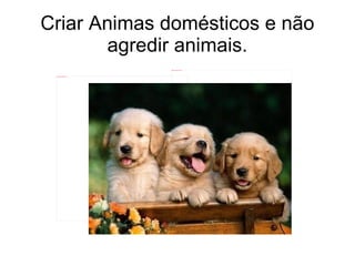 Criar Animas domésticos e não agredir animais. 