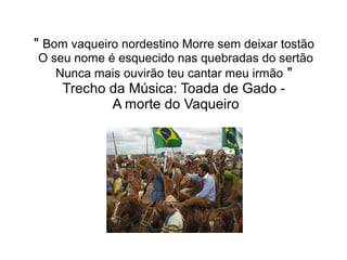 " Bom vaqueiro nordestino Morre sem deixar tostão
O seu nome é esquecido nas quebradas do sertão
Nunca mais ouvirão teu cantar meu irmão "

Trecho da Música: Toada de Gado A morte do Vaqueiro

 