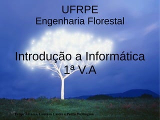 Felipe Tavares, Gustavo Castro e Pedro Wellington
UFRPE
Engenharia Florestal
Introdução a Informática
1ª V.A
 