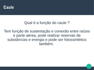 Caule
Qual é a função do caule ?
Tem função de sustentação e conexão entre raízes
e parte aérea, pode realizar reservas de
substâncias e energia e pode ser fotossintético
também.
 