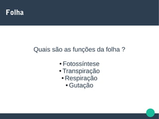 Folha
Quais são as funções da folha ?
● Fotossíntese
● Transpiração
● Respiração
● Gutação
 