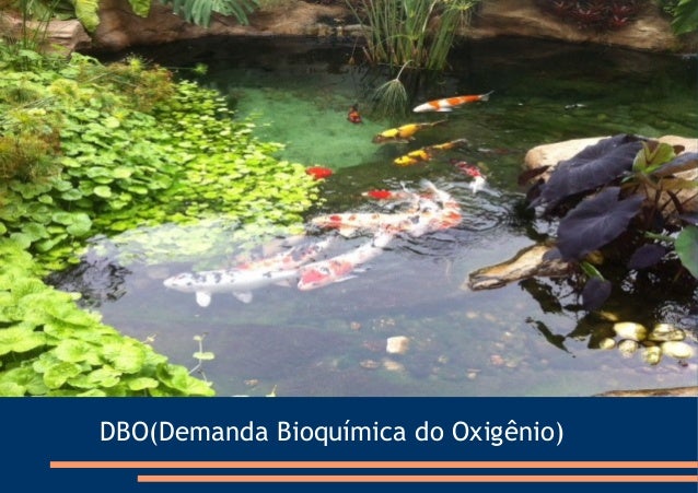 Resultado de imagem para Demanda BioquÃ­mica de OxigÃªnio