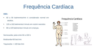 Frequência Cardíaca
OBS:
●
60 a 90 batimentos/min é considerado normal em
adultos.
●
120 a 160 batimentos/ minuto em recém nascidos
●
80 a 120 batimentos/ minuto em crianças.
Normocardia: pulso entre 60 a 100 b
Bradicardia<60 bat./min.
Taquicardia: > 100 bat./min
 