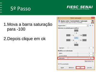 5º Passo 
1.Mova a barra saturação 
para -100 
2.Depois clique em ok 
 