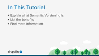 Semantic Versioning | PDF