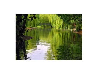 The Latest on Semantic Web