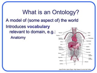OntologiesRDFS does not solve all requirementsApplications need more expressivity and reasoningIn RDFS, it is not possible to create new subclassesOWL (Web Ontology Language) offers a common language to define ontologies