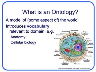 What is an Ontology?A model of (some aspect of) the world