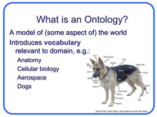 What is an Ontology?A model of (some aspect of) the worldIntroduces vocabularyrelevant to domain, e.g.:AnatomyCellular biology