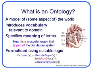 What is an Ontology?A model of (some aspect of) the worldIntroduces vocabularyrelevant to domain, e.g.:AnatomyCellular biologyAerospaceDogsHotdogs…