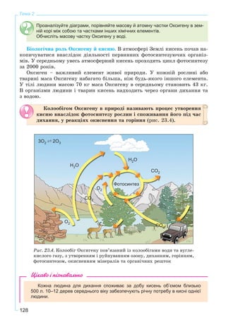 128
Тема 2
Проаналізуйте діаграми, порівняйте масову й атомну частки Оксигену в зем-
ній корі між собою та частками інших хімічних елементів.
Обчисліть масову частку Оксигену у воді.
Áіîëîãі÷íà ðîëü Îêñèãåíó é êèñíþ. Â àòìîñôåðі Çåìëі êèñåíü ïî÷àâ íà-
êîïè÷óâàòèñÿ âíàñëіäîê äіÿëüíîñòі ïåðâèííèõ ôîòîñèíòåçóþ÷èõ îðãàíіç-
ìіâ. Ó ñåðåäíüîìó óâåñü àòìîñôåðíèé êèñåíü ïðîõîäèòü öèêë ôîòîñèíòåçó
çà 2000 ðîêіâ.
Îêñèãåí – âàæëèâèé åëåìåíò æèâîї ïðèðîäè. Ó êîæíіé ðîñëèíі àáî
òâàðèíі ìàñà Îêñèãåíó íàáàãàòî áіëüøà, íіæ áóäü-ÿêîãî іíøîãî åëåìåíòà.
Ó òіëі ëþäèíè ìàñîþ 70 êã ìàñà Îêñèãåíó â ñåðåäíüîìó ñòàíîâèòü 43 êã.
Â îðãàíіçìè ëþäèíè і òâàðèí êèñåíü íàäõîäèòü ÷åðåç îðãàíè äèõàííÿ òà
ç âîäîþ.
Êîëîîáіãîì Îêñèãåíó â ïðèðîäі íàçèâàþòü ïðîöåñ óòâîðåííÿ
êèñíþ âíàñëіäîê ôîòîñèíòåçó ðîñëèí і ñïîæèâàííÿ éîãî ïіä ÷àñ
äèõàííÿ, ó ðåàêöіÿõ îêèñíåííÿ òà ãîðіííÿ (ðèñ. 23.4).
3O2 ` 2O3
H2O
H2O
CO2
O2
O2
Фотосинтез
CO2
CO2
Ðèñ. 23.4. Êîëîîáіã Îêñèãåíó ïîâ’ÿçàíèé іç êîëîîáіãàìè âîäè òà âóãëå-
êèñëîãî ãàçó, ç óòâîðåííÿì і ðóéíóâàííÿì îçîíó, äèõàííÿì, ãîðіííÿì,
ôîòîñèíòåçîì, îêèñíåííÿì ìіíåðàëіâ òà îðãàíі÷íèõ ðåøòîê
Цікаво і пізнавально
Кожна людина для дихання споживає за добу кисень об’ємом близько
500 л. 10–12 дерев середнього віку забезпечують річну потребу в кисні однієї
людини.
 