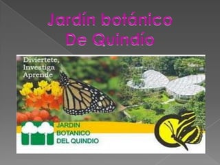 Jardín botánico  De Quindío  