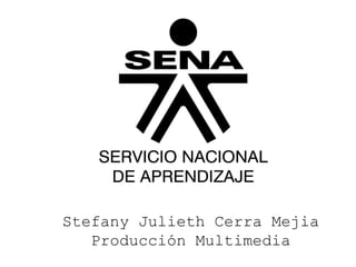 Stefany Julieth Cerra Mejia
Producción Multimedia
 