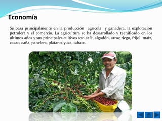 Economía
Se basa principalmente en la producción agrícola y ganadera, la explotación
petrolera y el comercio. La agricultura se ha desarrollado y tecnificado en los
últimos años y sus principales cultivos son café, algodón, arroz riego, frijol, maíz,
cacao, caña, panelera, plátano, yuca, tabaco.
 