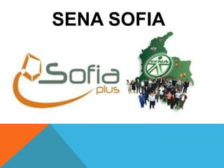 SENA SOFIA
 