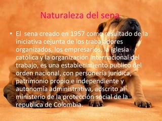 Naturaleza del sena  El  sena creado en 1957 como resultado de la iniciativa cejunta de los trabajadores organizados, los empresarios, la iglesia católica y la organización internacional del trabajo, es una establecimiento publico del orden nacional, con personería jurídica, patrimonio propio e independiente y autonomía administrativa, adscrito al ministerio de la protección social de la republica de Colombia. 