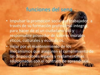 funciones del sena  Impulsar la promoción social del trabajador, a través de su formación profesional integral, para hacer de el un ciudadano útil y responsable poseedor de valores morales éticos, culturales y ecológicos. Velar por el mantenimiento de los mecanismos que aseguren el cumplimiento de las disposiciones legales y reglamentarias relacionadas con el contrato de aprendizaje. 