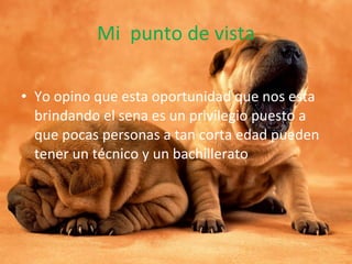 Mi  punto de vista Yo opino que esta oportunidad que nos esta brindando el sena es un privilegio puesto a que pocas personas a tan corta edad pueden tener un técnico y un bachillerato  