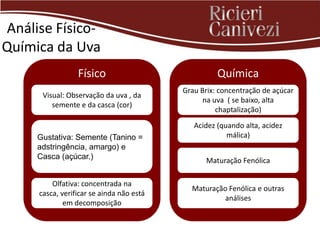 Análise Físico-
Química da Uva
                 Físico                             Química
                                          Grau Brix: concentração de açúcar
      Visual: Observação da uva , da
                                                na uva ( se baixo, alta
         semente e da casca (cor)
                                                    chaptalização)
                                             Acidez (quando alta, acidez
     Gustativa: Semente (Tanino =                      málica)
     adstringência, amargo) e
     Casca (açúcar.)                             Maturação Fenólica

         Olfativa: concentrada na
                                            Maturação Fenólica e outras
     casca, verificar se ainda não está
                                                     análises
             em decomposição
 