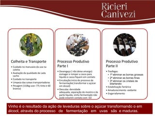 Colheita e Transporte                  Processo Produtivo                      Processo Produtivo
 • Cuidado no manuseio da uva na        Parte I                                 Parte II
   coleita
                                        • Desengaço ( não deixa amargo):        • Trasfegas:
 • Avaliação da qualidade de cada         esmagar e romper a casca para
   cacho                                                                          • 1ª eliminar as borras grossas
                                          líquido e casca fiquem em contato       • 2ª eliminar as borras finas
 • Cuidado no transporte                • Encubação:início do processo de         • 3ª eliminar os cristais de
 • Limpeza das caixas transportadoras     fermentação( transformar o açúcar         bitartarato
 • Pesagem (110kg uva= 77L tinto e 60     em álcool)                            • Estabilização Tartárica
   branco)                              • Descuba: densidade                    • Amadurecimento oxidante
                                          adequada, separação do mostro e da
                                                                                • Engarrafamento
                                          parte líquida, vinho fermentado não
                                          pode estarem contato com O2


Vinho é o resultado da ação de leveduras sobre o açúcar transformando o em
álcool, através do processo de fermentação em uvas sãs e maduras.
 