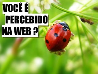VOCÊ É PERCEBIDO NA WEB ? 