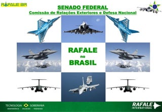 SENADO FEDERAL
Comissão de Relações Exteriores e Defesa Nacional
                   01.09.2011




                 RAFALE
                       no
                  BRASIL
 