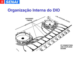 Organização Interna do DIO BUFFERED FIBERS ST CONNECTORS AND COUPLINGS SHOWN 