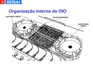 Organização Interna do DIO BUFFERED FIBERS UNBUFFERED FIBERS SPLICE ORGANISER 