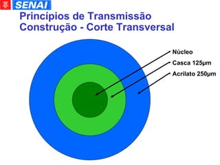 Princípios de Transmissão Construção - Corte Transversal Núcleo Casca 125µm  Acrilato 250µm  
